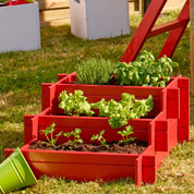 Carr potager en Escalier - Forest Style